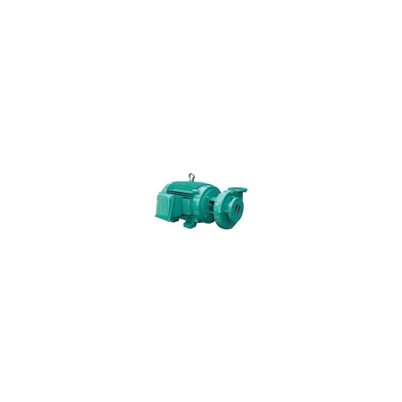 1B0245WM - GE 2.5C 20-4 - WDM BOMBA GS MOTOR ELÉCTRICO A 1,800 RPM & ITEM-007635