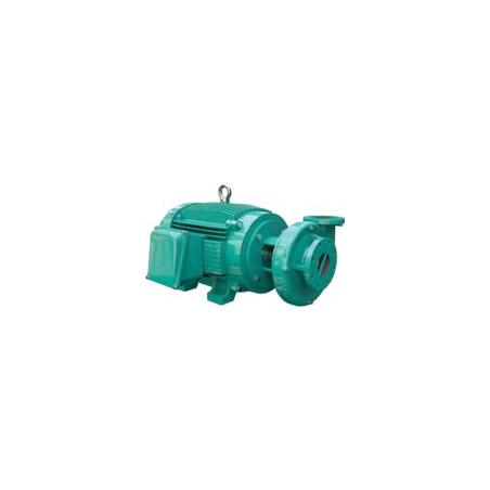 1B0245WM - GE 2.5C 20-4 - WDM BOMBA GS MOTOR ELÉCTRICO A 1,800 RPM & ITEM-007635