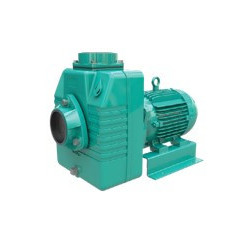 1D0382WM - AE 1.5 15 - WDM BOMBA AUTOCEBANTE MOTOR ELÉCTRICO & ITEM-007495