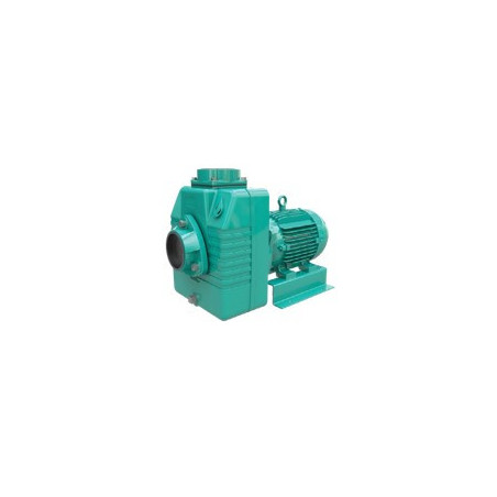 1D0048WM - AE 1.5 20-1 - WDM BOMBA AUTOCEBANTE MOTOR ELÉCTRICO & ITEM-007506