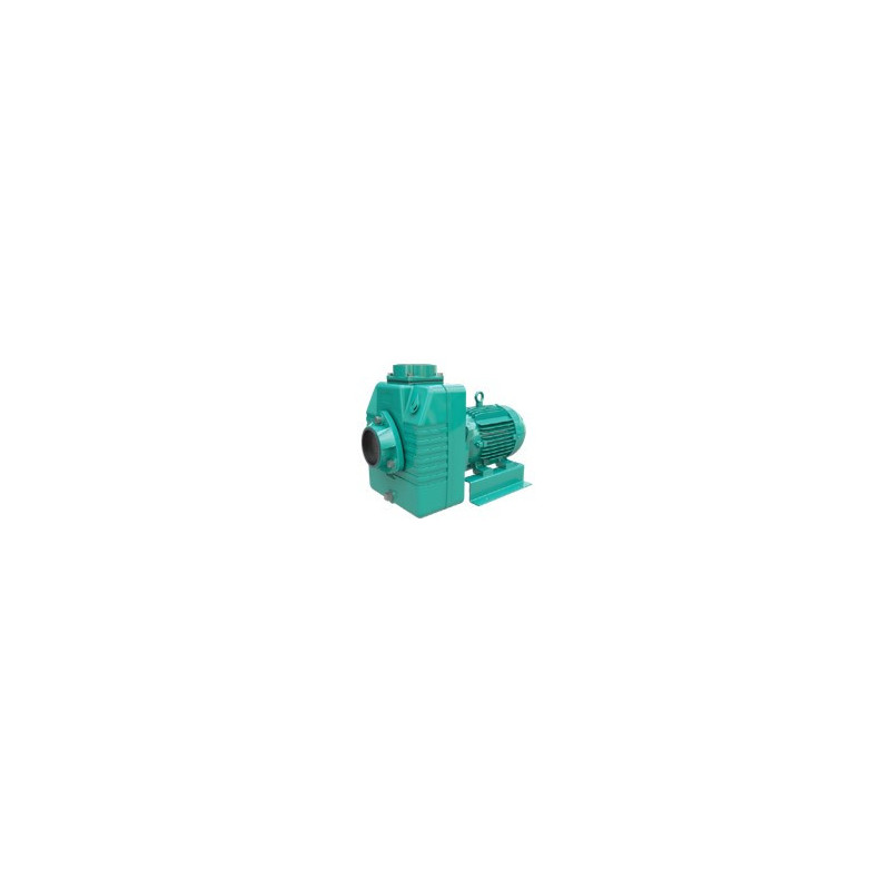 1D0087WM - AE 2 20-1 - WDM BOMBA AUTOCEBANTE MOTOR ELÉCTRICO & ITEM-007492