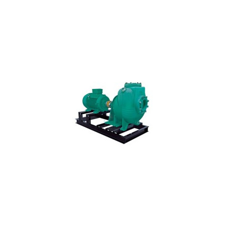1I3404 - AUE 2N 20-4 - WDM BOMBA AUTOCEBANTE COPLE FLEXIBLE MOTOR ELÉCTRICO & ITEM-007673