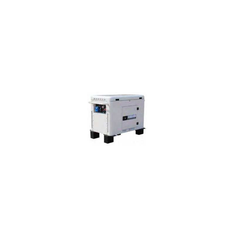 E2919 - PLANTA SL10000W-SE-DF 8KW 220V, WDM, PLANTAS ELÉCTRICAS A GASOLINA & ITEM-022931
