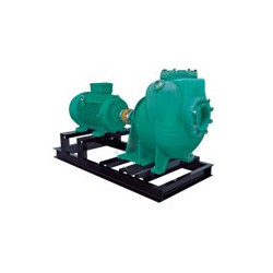 1I3423 - AUE 6 500-4 - WDM BOMBA AUTOCEBANTE COPLE FLEXIBLE MOTOR ELÉCTRICO & ITEM-008130